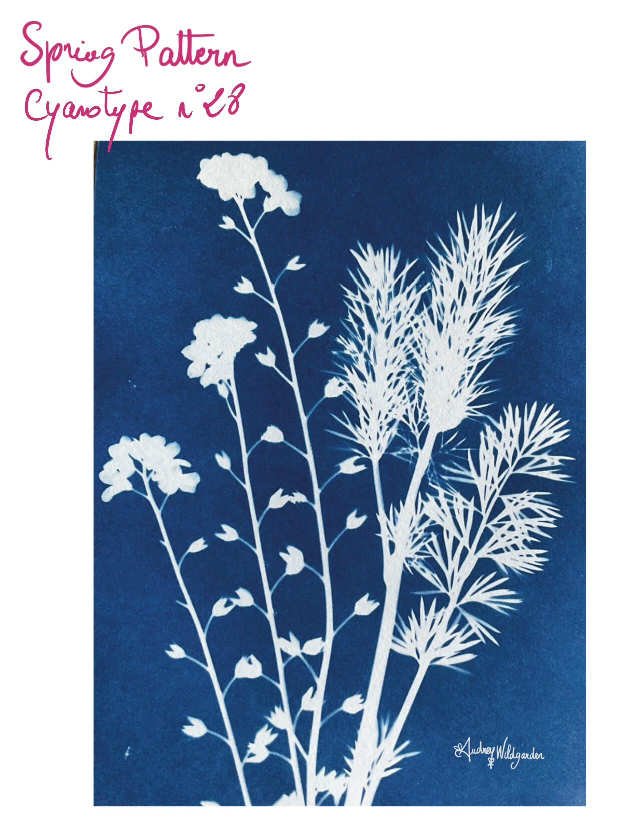 Audrey WildGarden Cyanotype Spring Pattern for Wallpaper, Design and Fashion Project